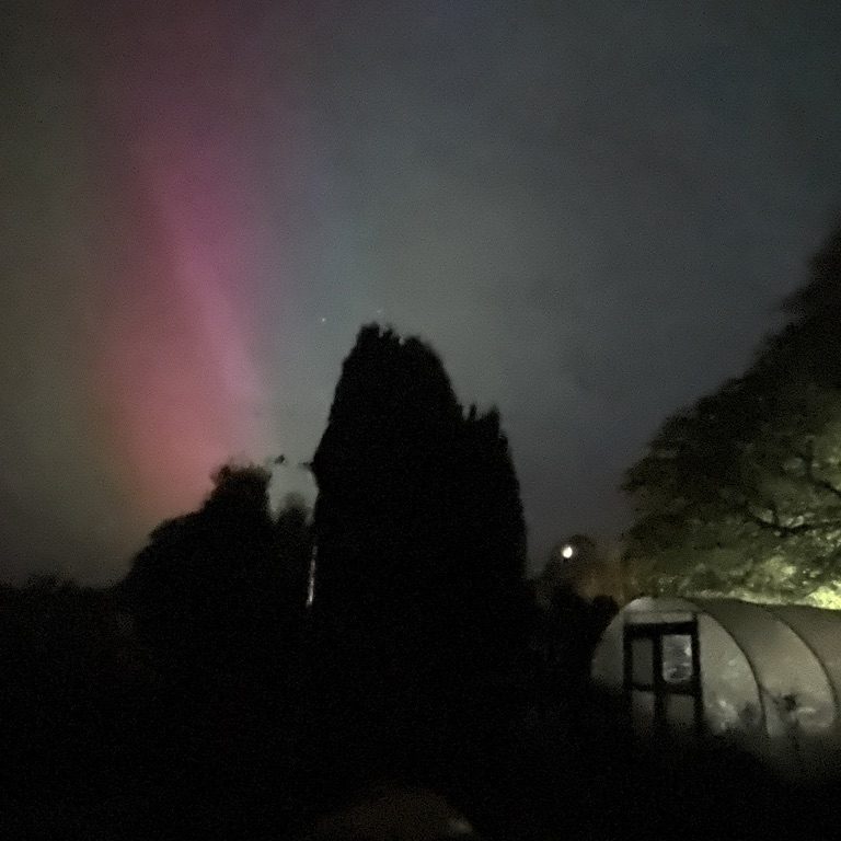 northern lights above a scene including polutunnel and garden